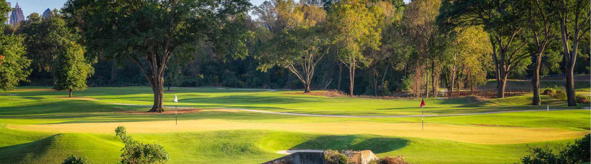 View of course greens